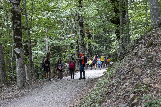 Wanderweg im Valle de Ordesa Wanderweg im Valle de Ordesa