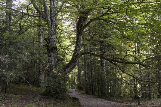 Valle de Ordesa Wanderung im Valle de Ordesa