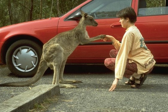 Elisabeth mit Känguruh Elisabeth mit Känguruh