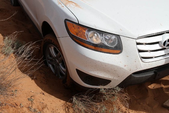 Panne im Grand Staircase Escalante National Monument Utah Panne im Grand Staircase Escalante National Monument Utah